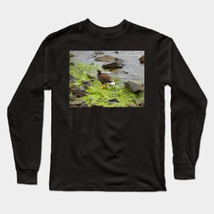 Kelp goose Long Sleeve T-Shirt